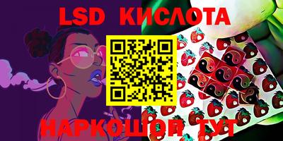 соль ск Ипатово