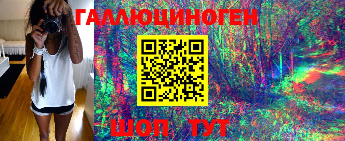 Псилоцибиновые грибы Cubensis Краснокаменск